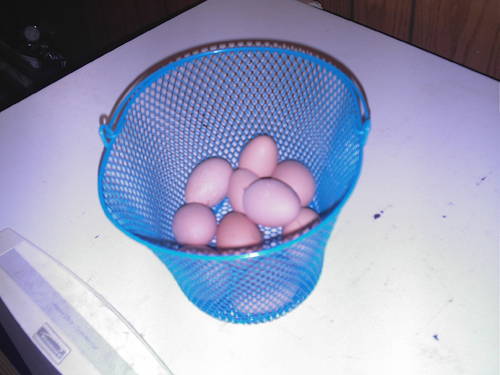 first eggs