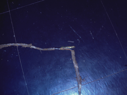 wire 2